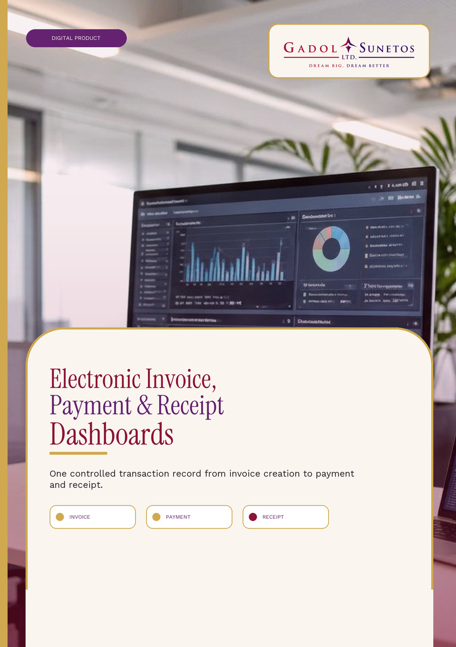 Electronic Invoice, Payment and Receipt Dashboards flyer cover